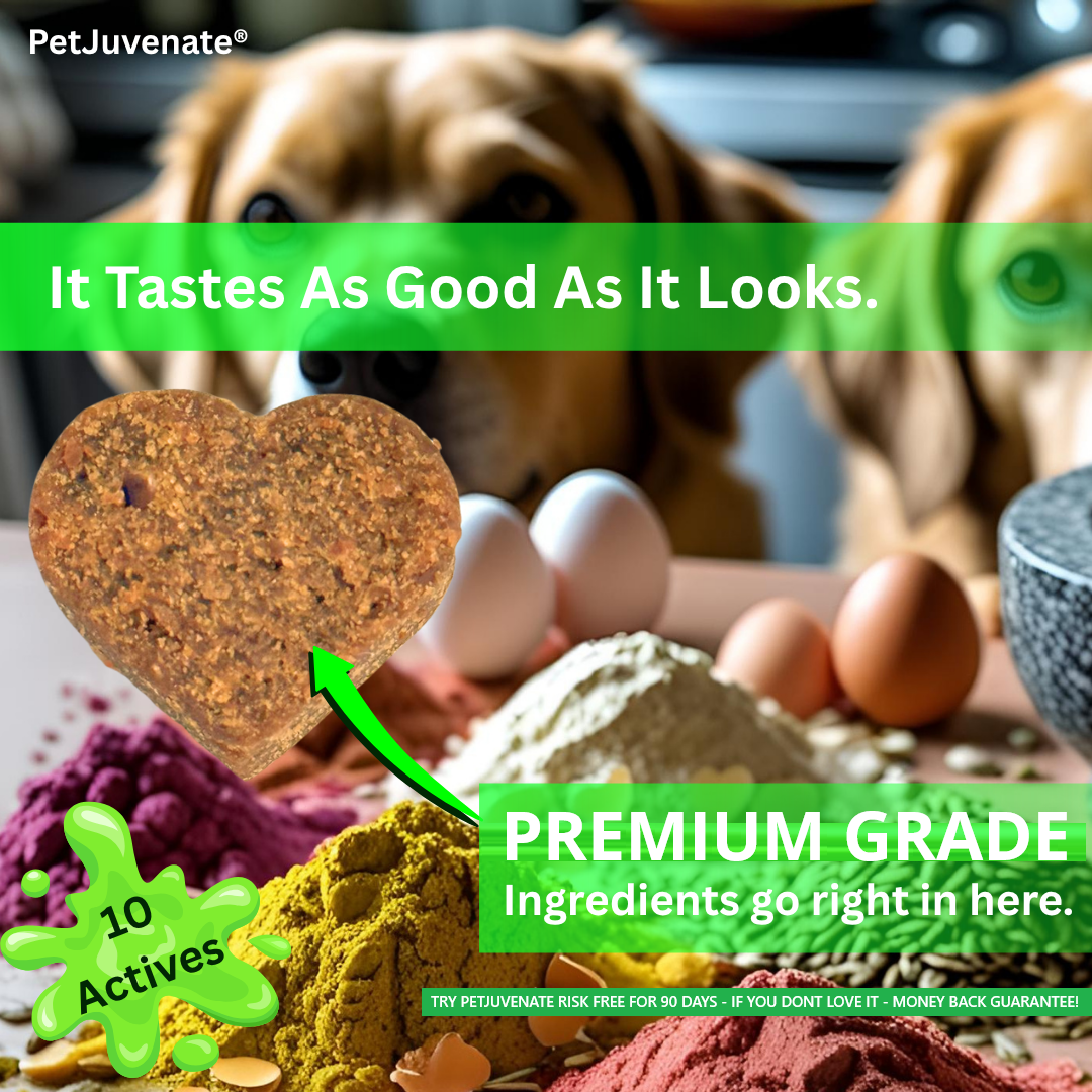 PetJuvenate® - Premium Soft Chews - Mobility and Support.